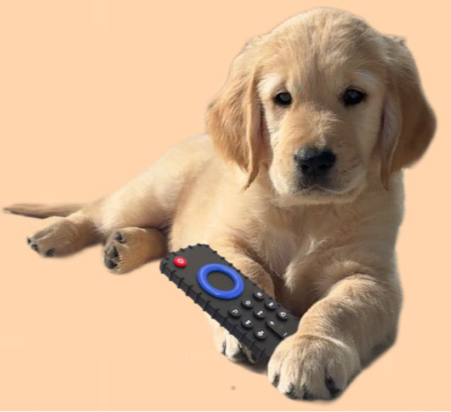 Chewable TV Remote
