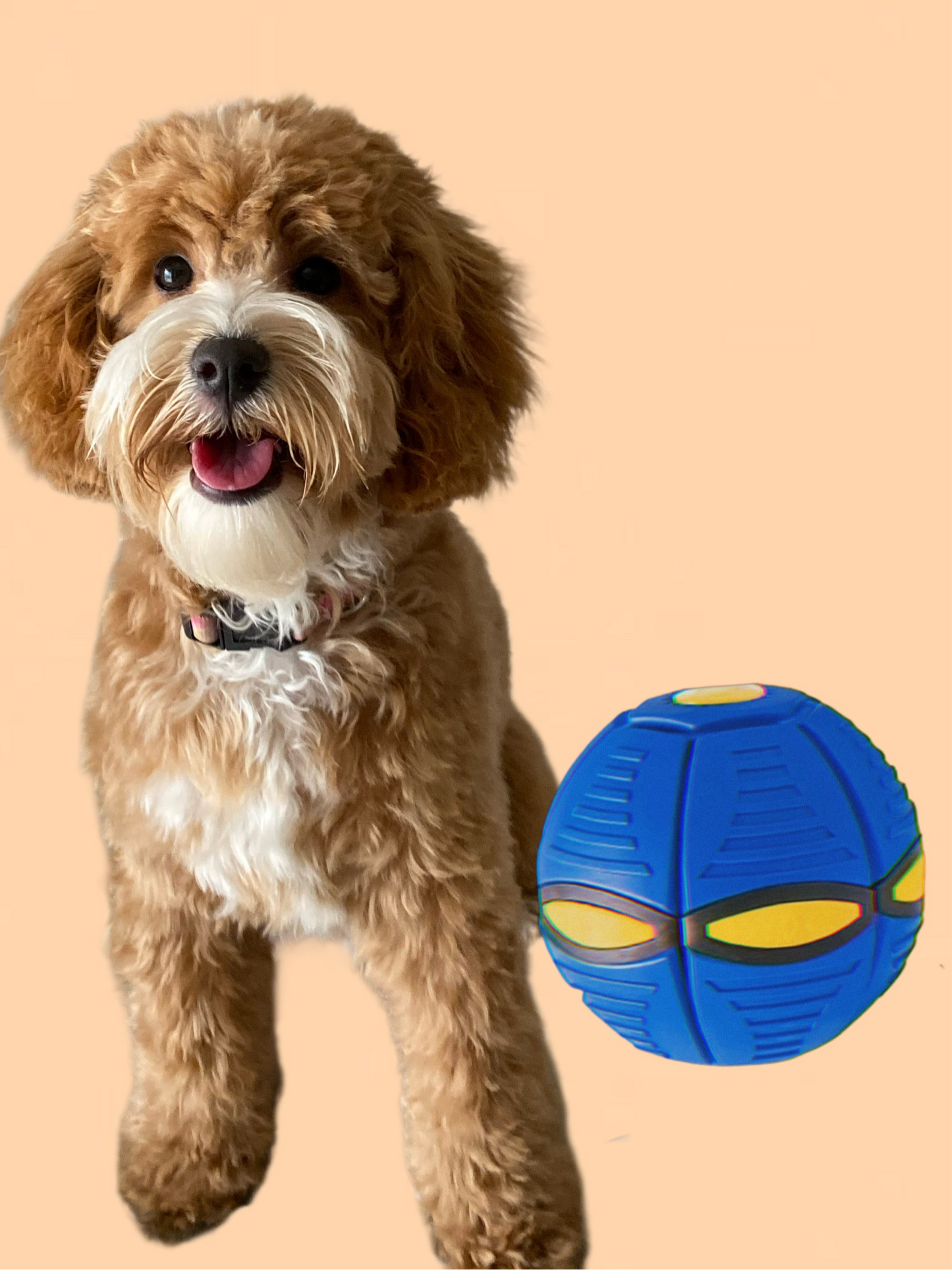 Interactive Flying Saucer Ball