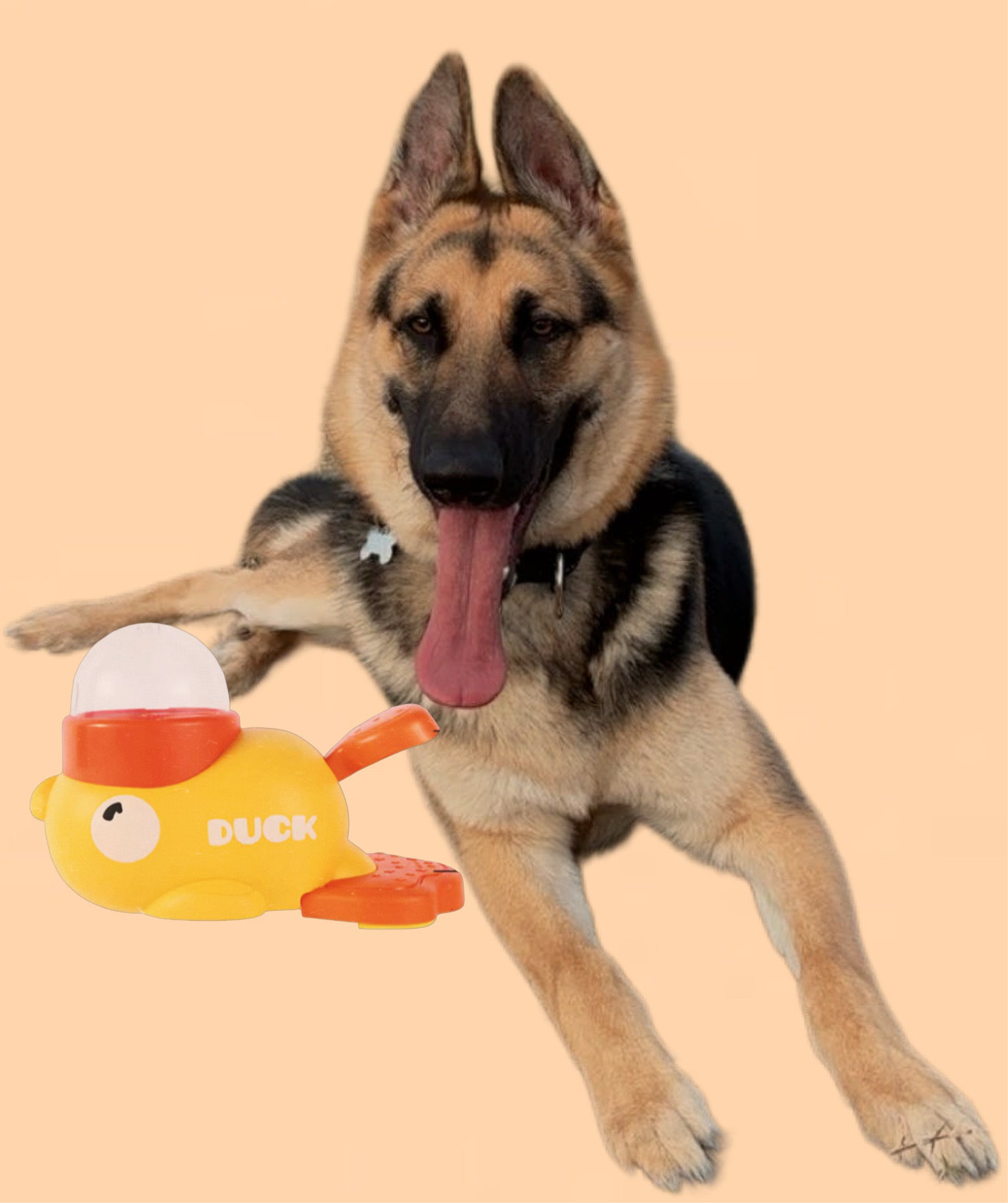 Duck Slow Feeding Dispenser